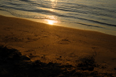 a shining beach