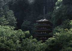 新緑の長谷寺-五重塔