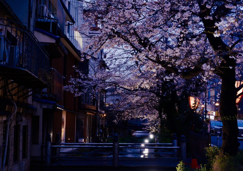 高瀬川夕景