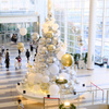 Nishinomiya Gardens Christmas Tree