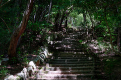 北山緑化植物園-ついでに登山