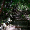 北山緑化植物園-ついでに登山