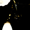 shine