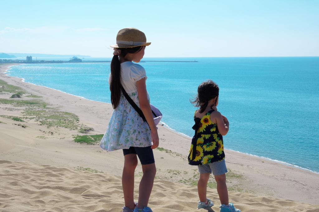 the Sand Dunes and the Sea