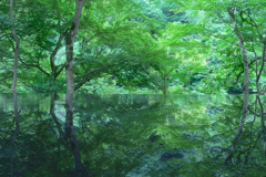 祐斎亭-リフレクション