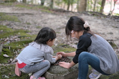 collecting acorns