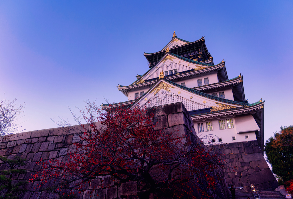 Osaka Castle1