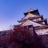 Osaka Castle1