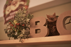 a fox between B&O