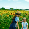 The Catcher in the sunflower