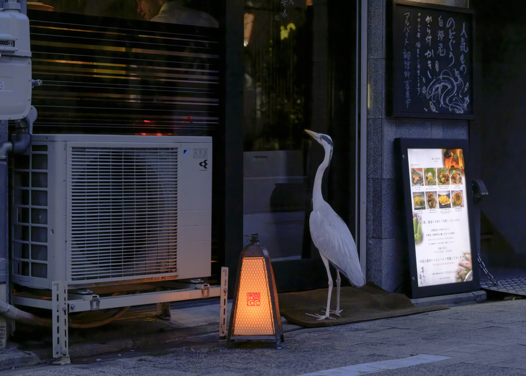 飲みたい夜はいつもの店で