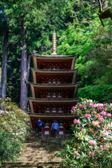 五重塔が見えてきた