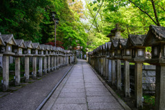 石灯籠が並ぶ道