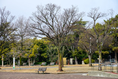 誰もいない広場