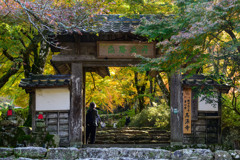 高源寺の山門