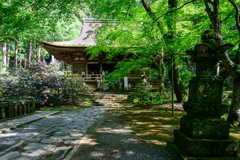 日本の初夏