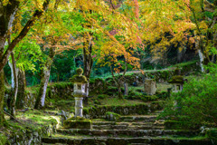 参道の紅葉