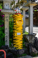 虎柄をまとう