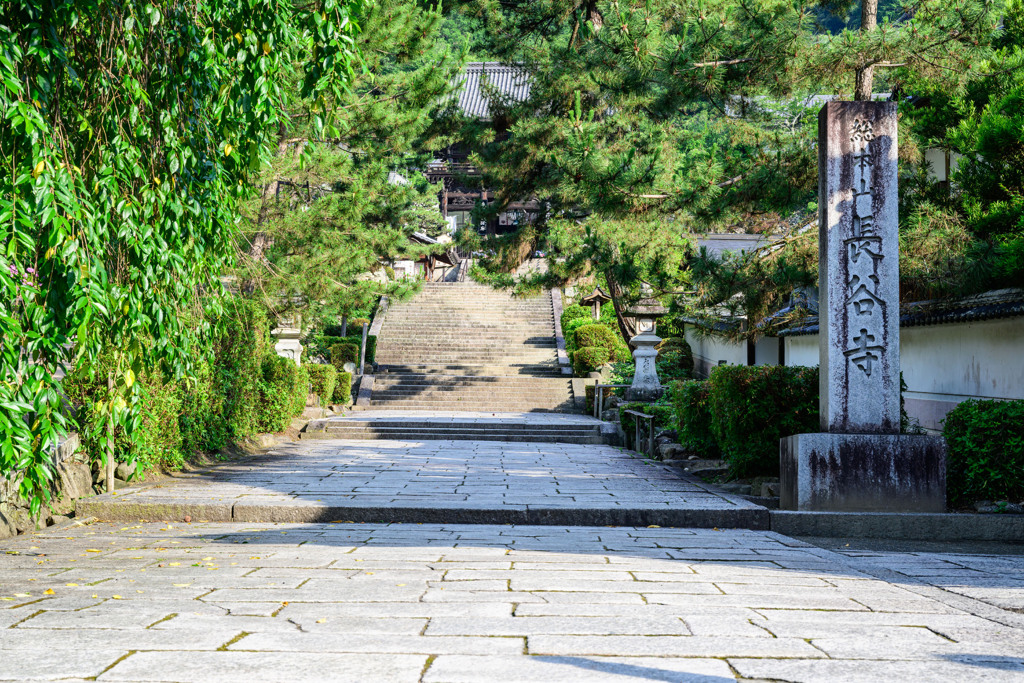 初夏の長谷寺へ