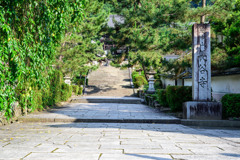 初夏の長谷寺へ