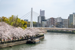 桜満開の大川沿い #05