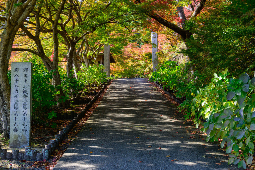 圓通寺