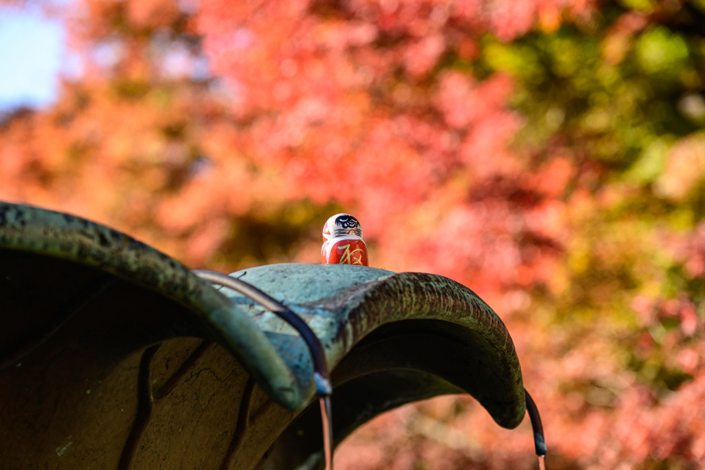 紅葉狩り