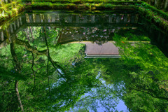 池の中の本堂