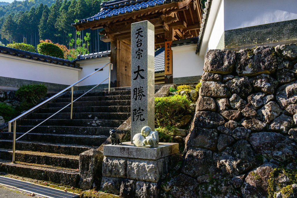 小僧と子犬