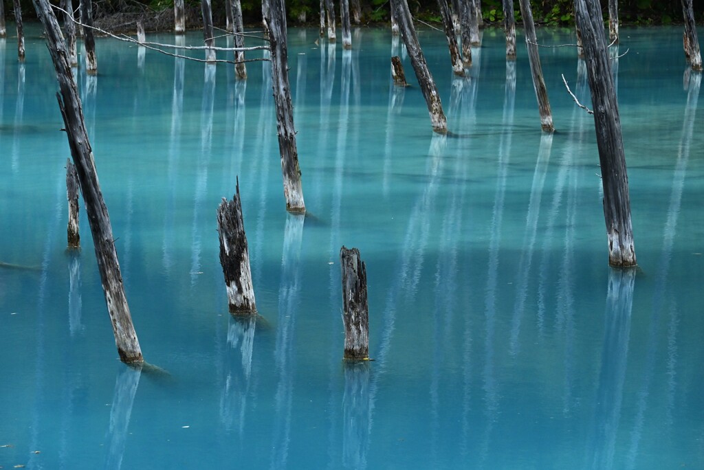 1-青い池