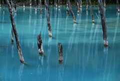 1-青い池