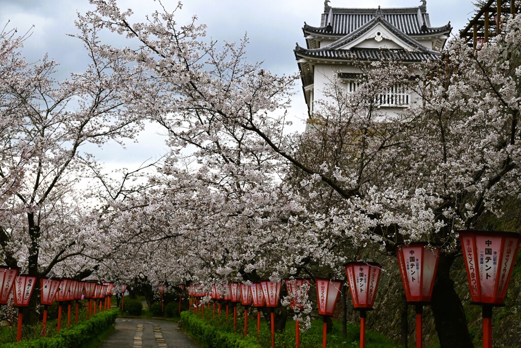 2-津山城