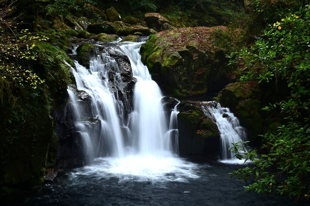 菊池渓谷四十三万滝