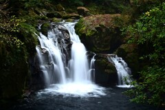 菊池渓谷四十三万滝