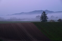 明け方の新栄の丘