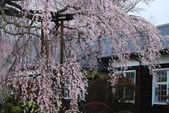 2-杵原学校