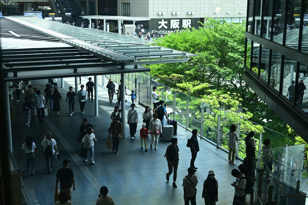 新緑のうめきた