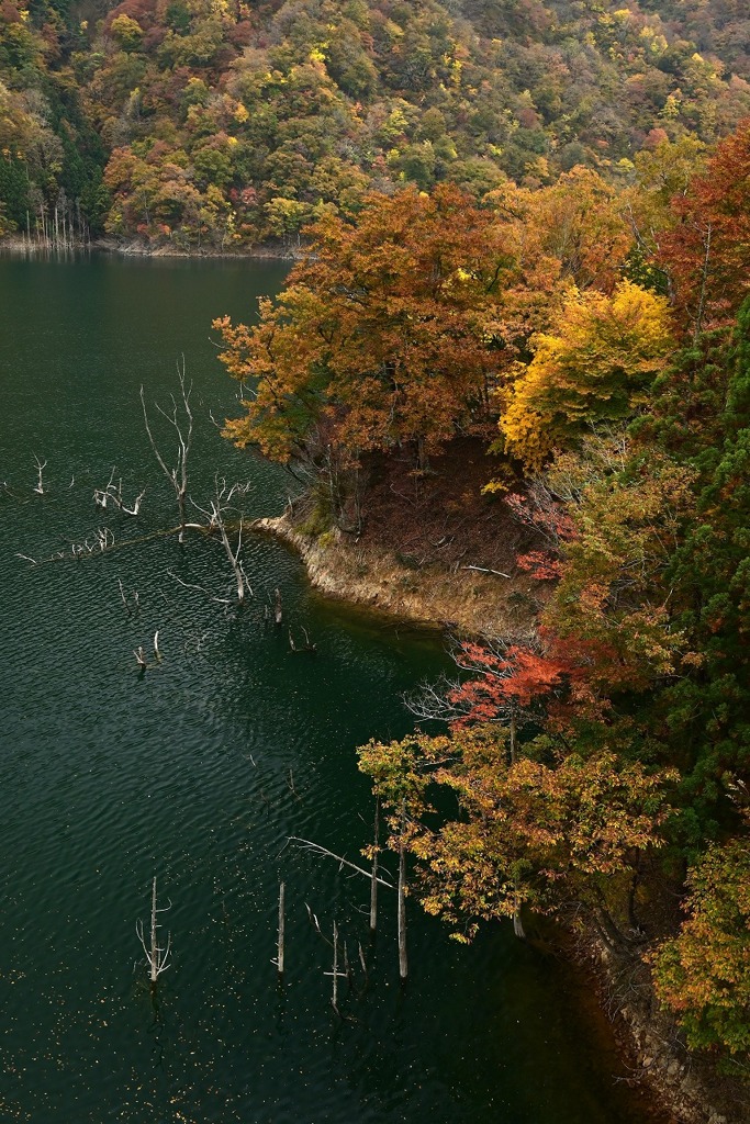 扇谷姫街道橋から
