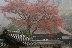 3-摩気神社