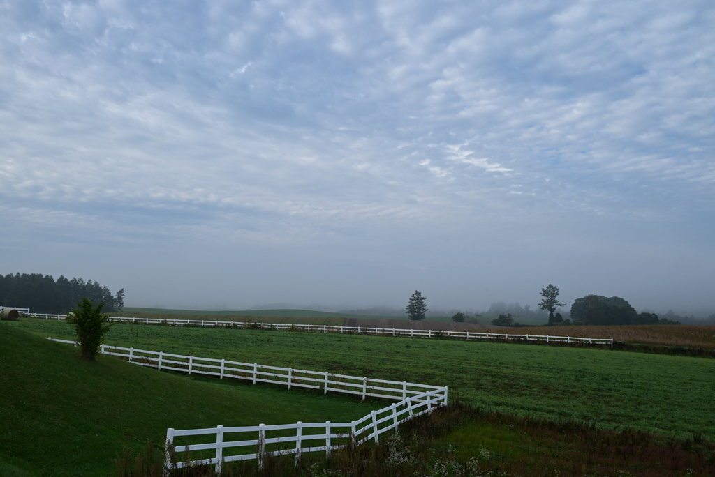 牧場の朝
