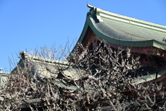 北野天満宮