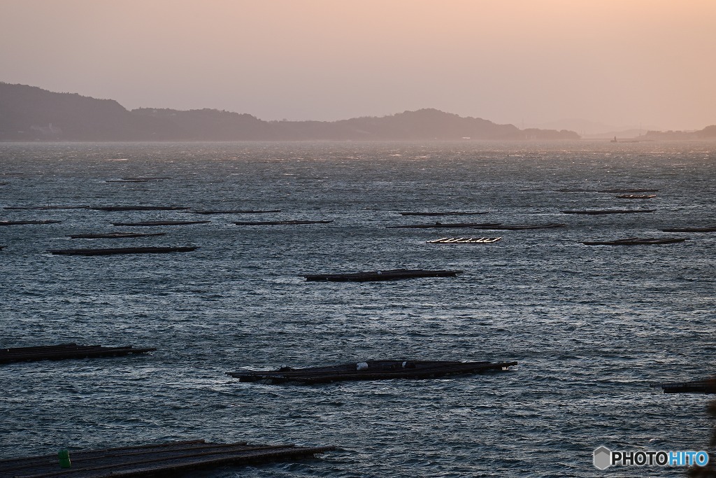 虫明湾の牡蠣筏