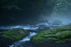 菊池渓谷広河原
