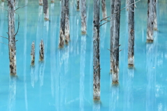 4-青い池