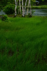 風を感じる