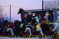ばんえい競馬(1)