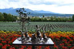 冨田ファーム