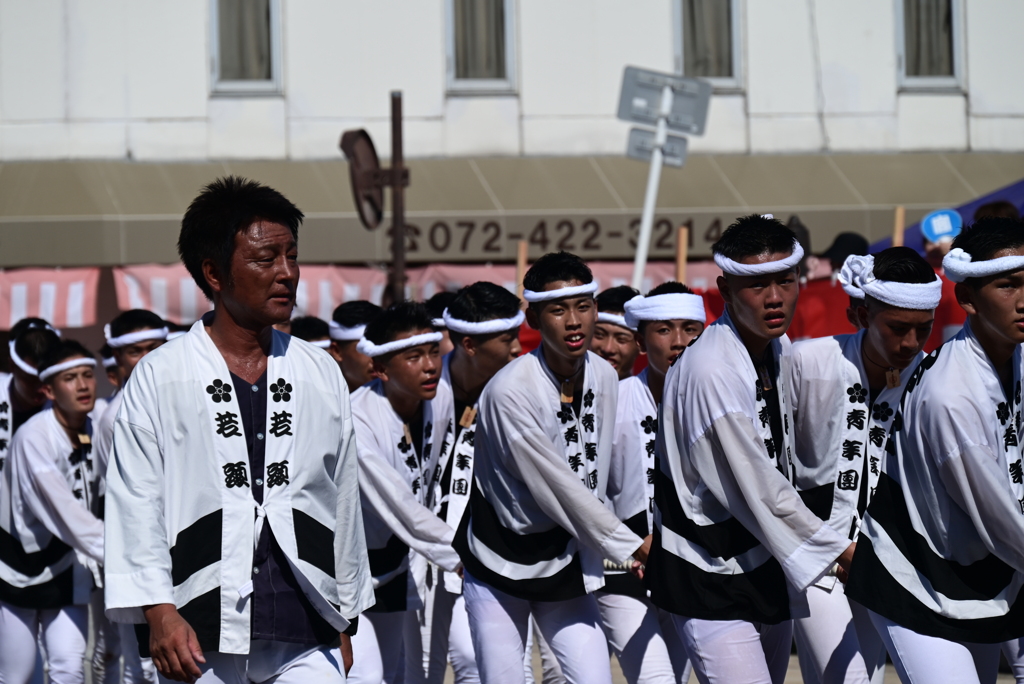 だんじり祭り-3