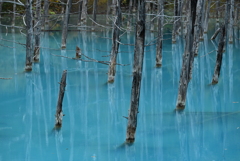 2-青い池
