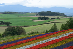 山と畑と花